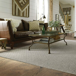 Living room rug | Valley Floor Covering Inc