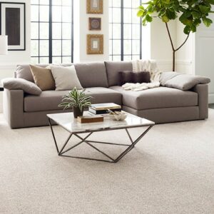 Living room comfortable carpet | Valley Floor Covering Inc