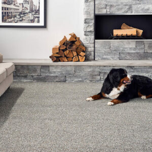 Pet friendly carpet | Valley Floor Covering Inc