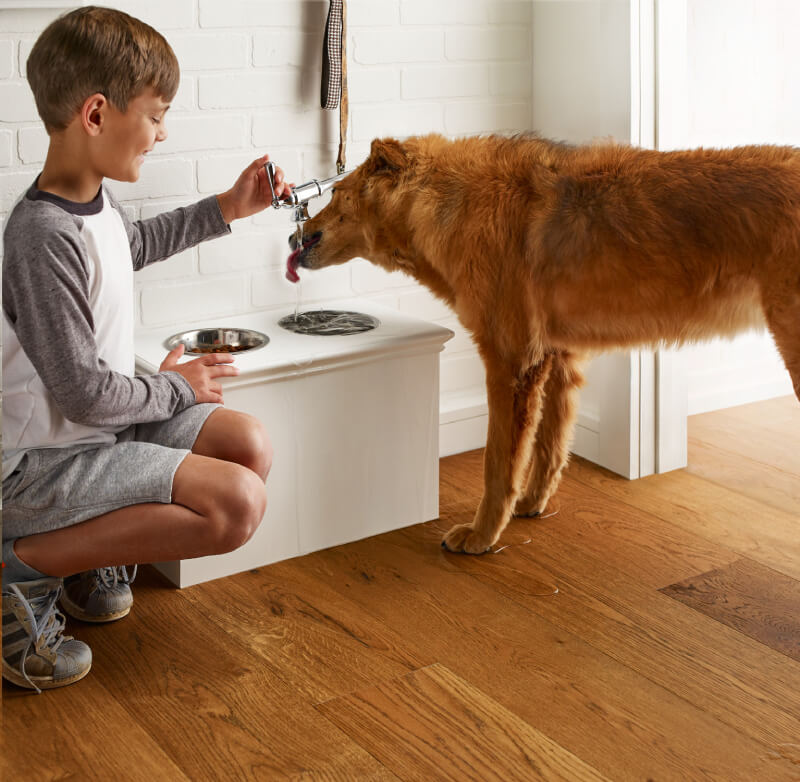 Dog drinking water with help of kid | Valley Floor Covering Inc.